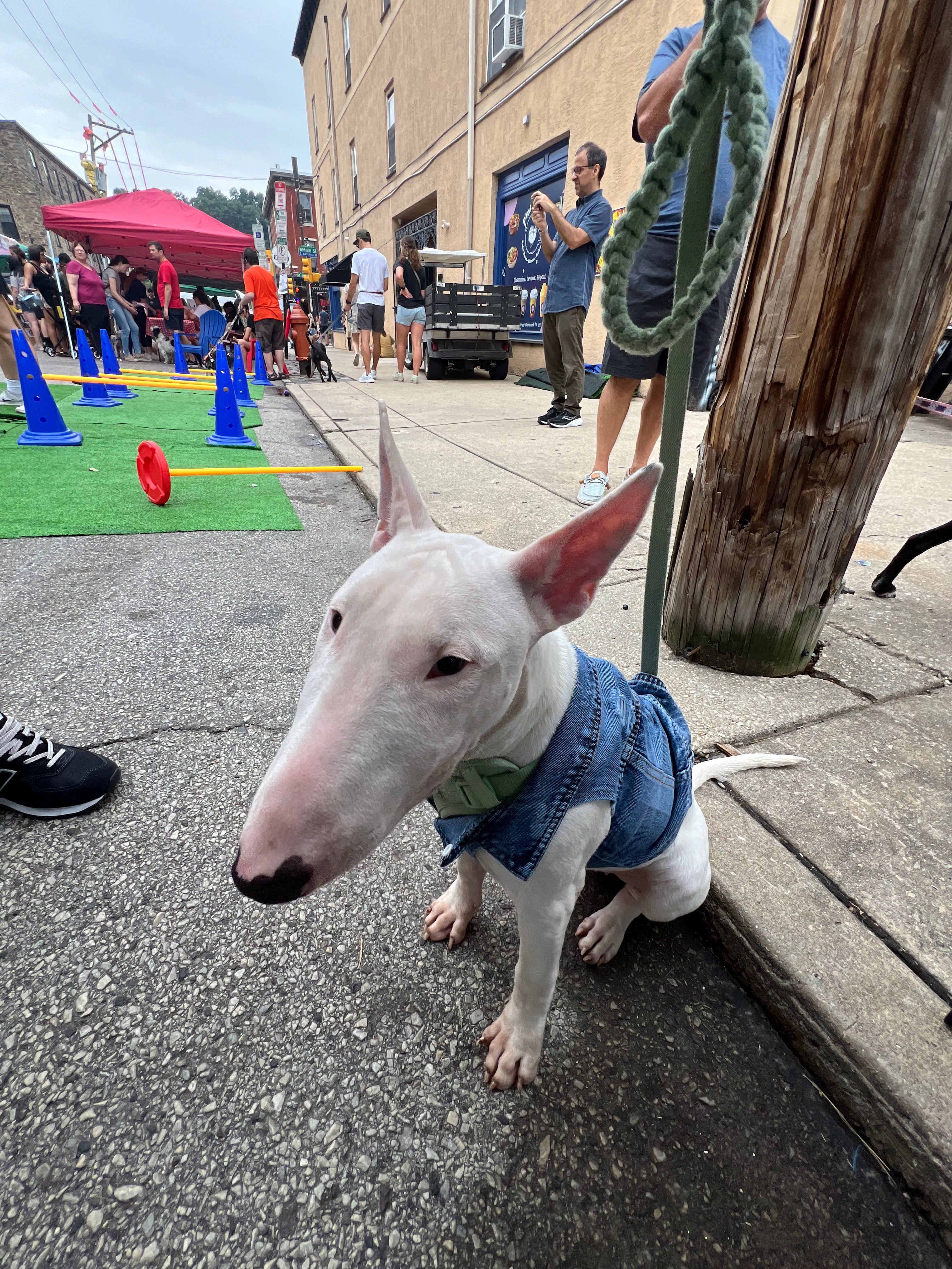 Who's that dog Jean Jacket