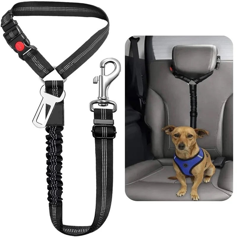 BARKLE UP! seatbelt