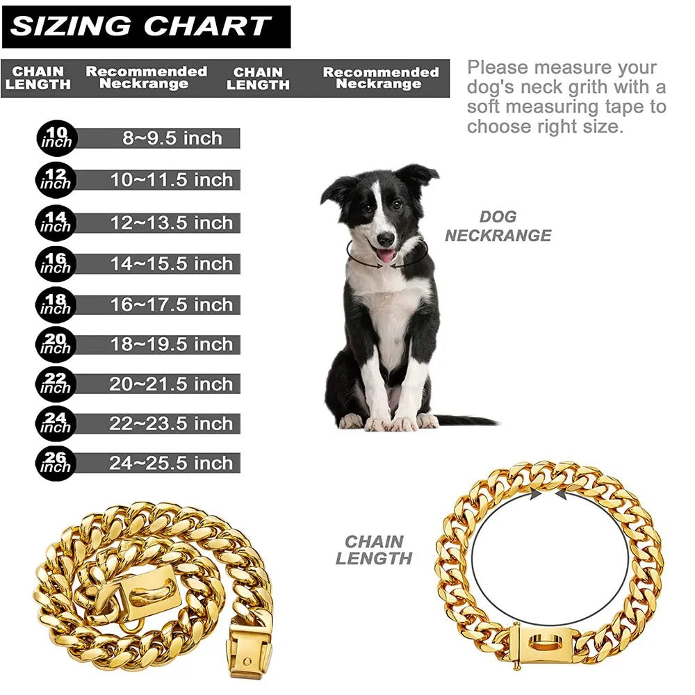 Stainless Steel Dog Collar