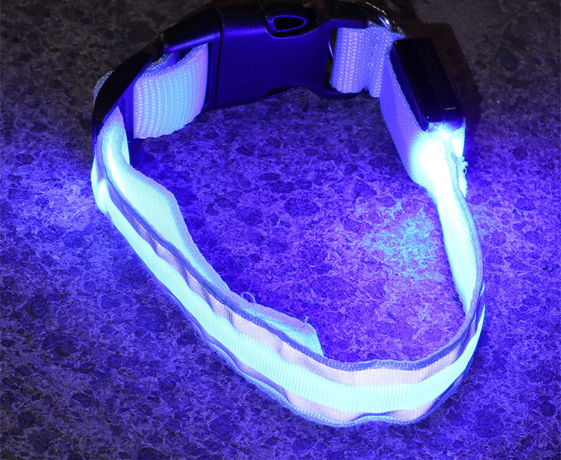 LED Anti-Lost Dog Collar