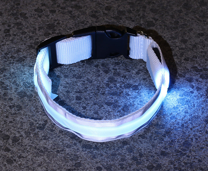 LED Anti-Lost Dog Collar