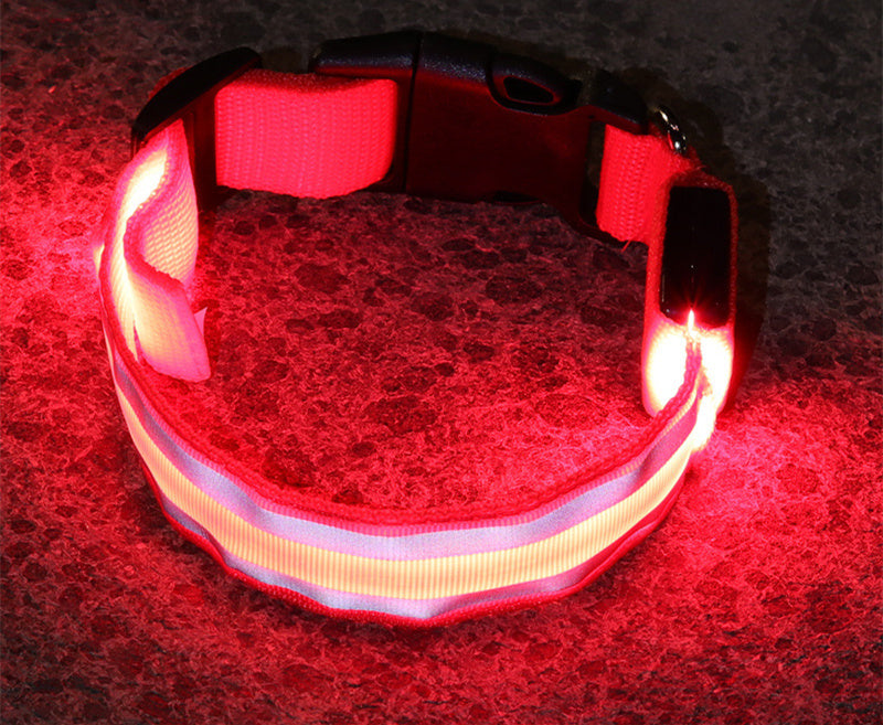 LED Anti-Lost Dog Collar