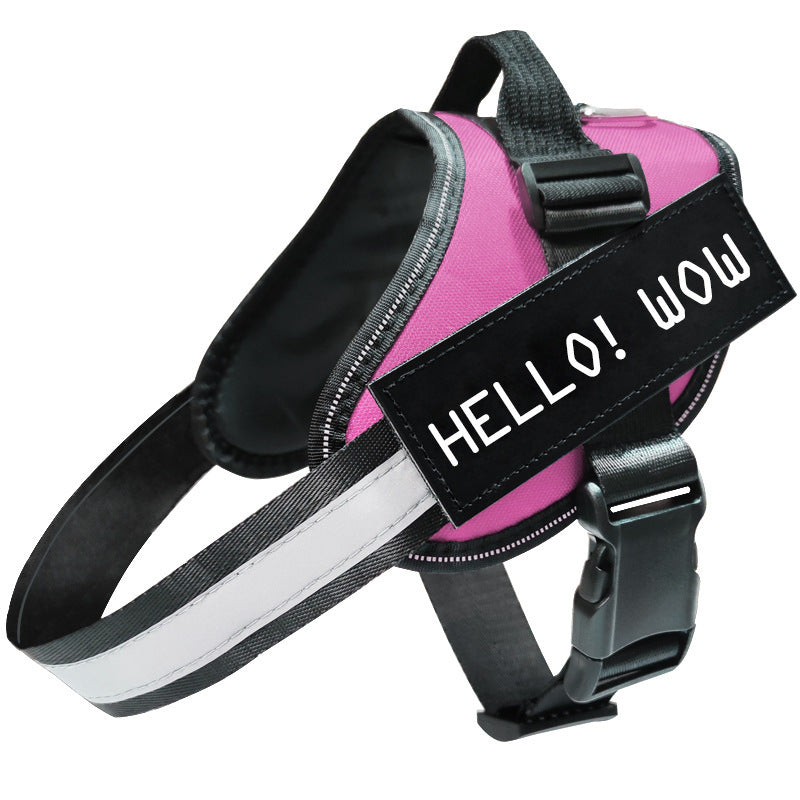 Reflective Dog Leash and Harness