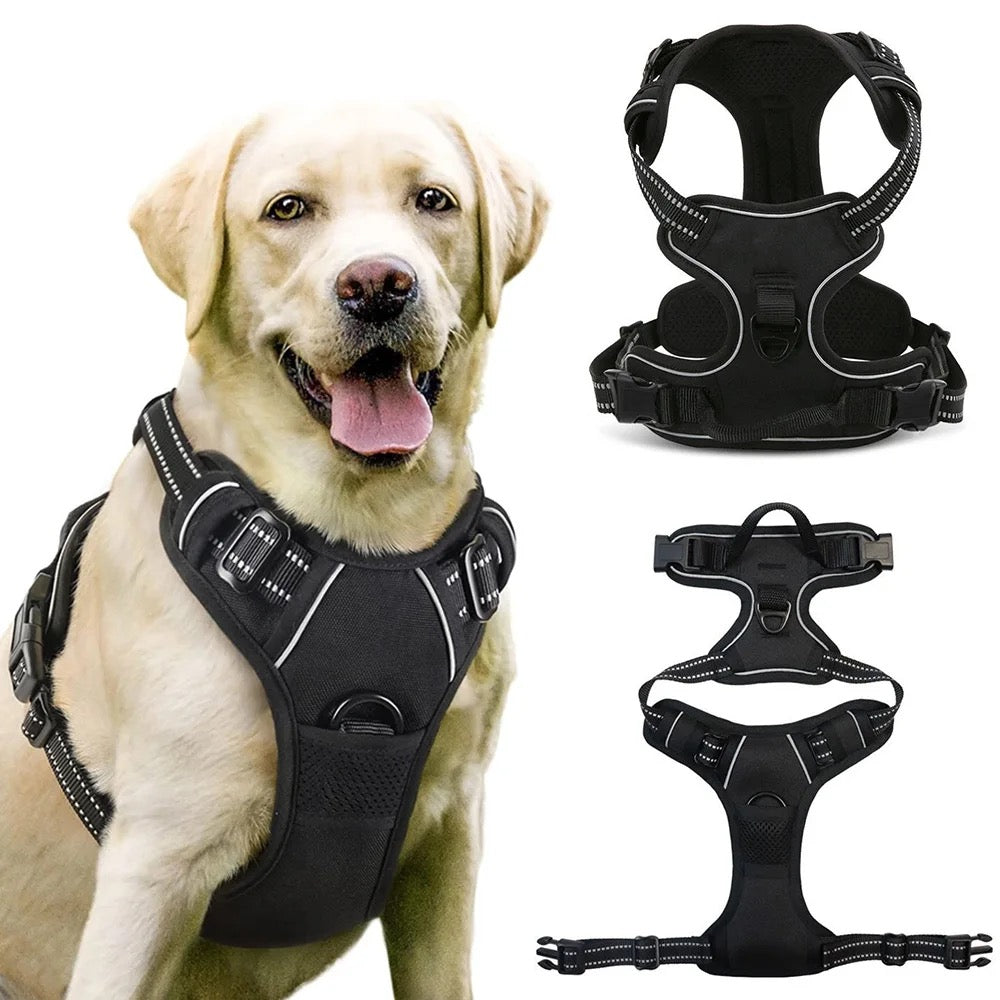 Adjustable Dog Harness