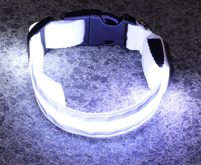 LED Anti-Lost Dog Collar