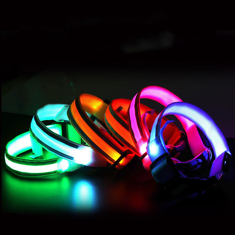 LED Anti-Lost Dog Collar